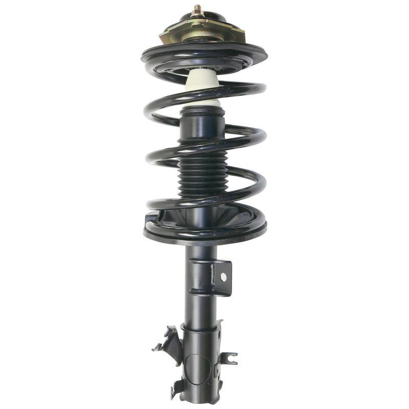 Front & Rear Shock & Strut Assembly