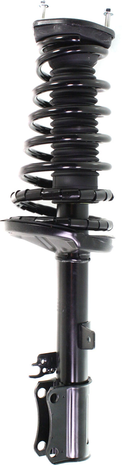 Loaded Strut-Rear Driver and Passenger Side