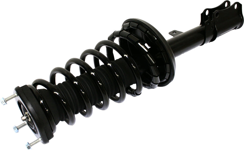 Loaded Strut-Rear Driver and Passenger Side