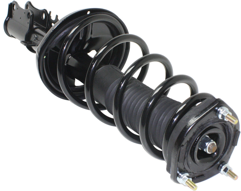 Rear Shock Absorber w/Loaded Struts