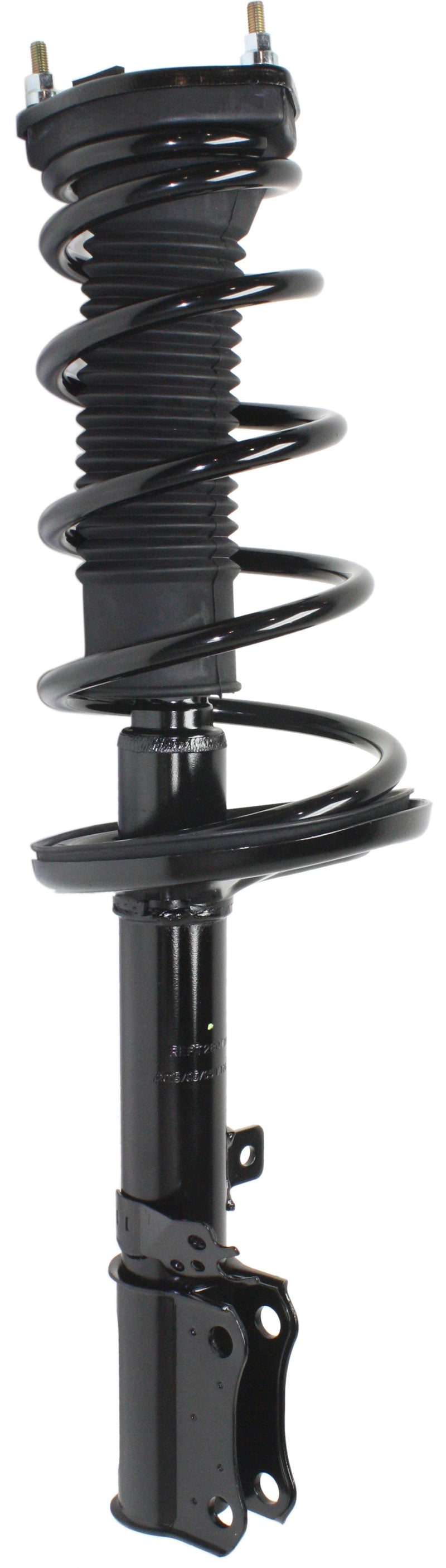 Rear Shock Absorber w/Loaded Struts