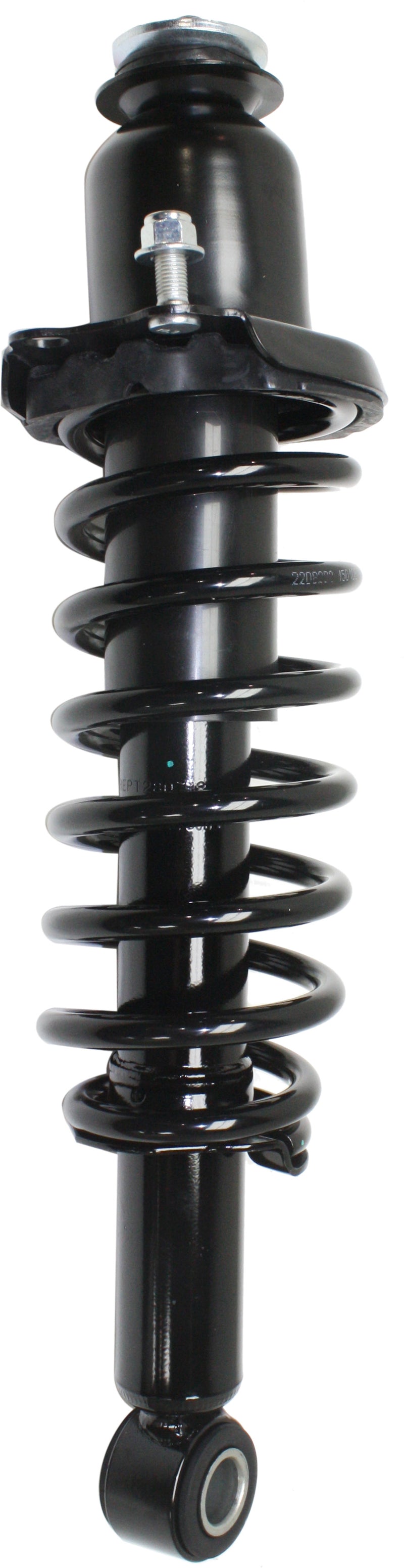 Set Of 2 - Loaded Strut - Rear Driver and Passenger Side