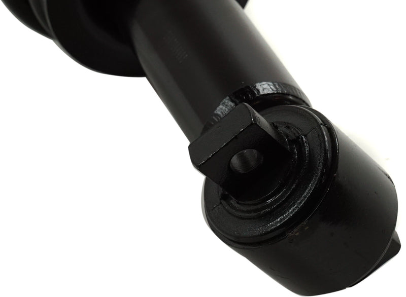 Strut Assembly Front Passenger & Driver Side