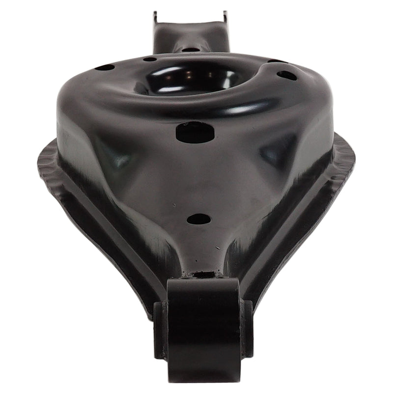 Rear Control Arm Lower