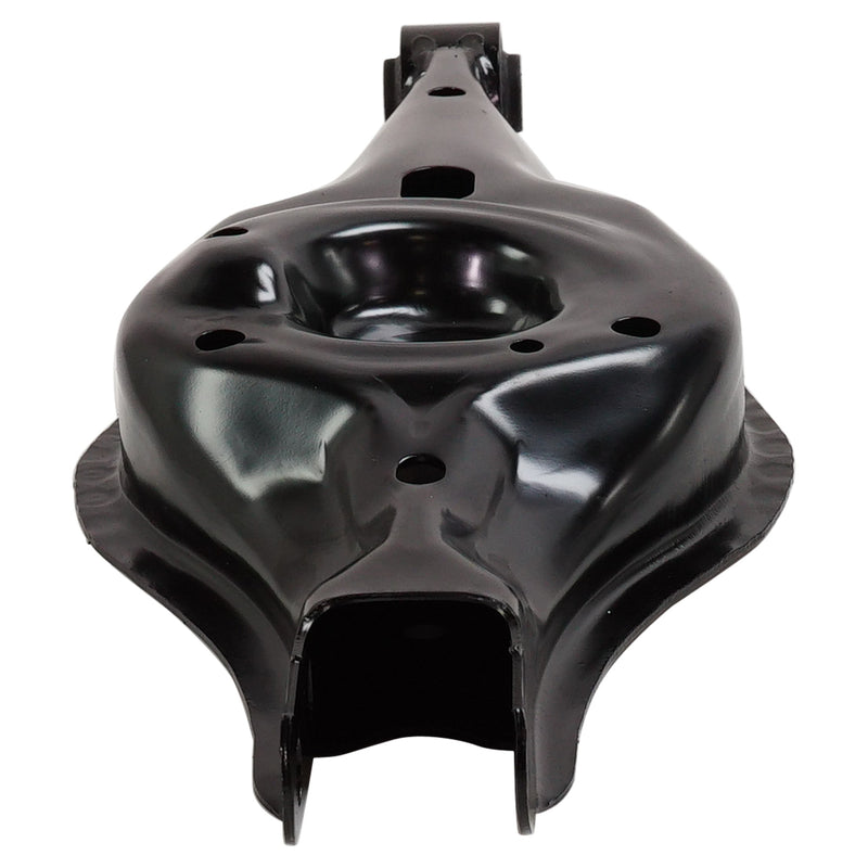 Rear Control Arm Lower