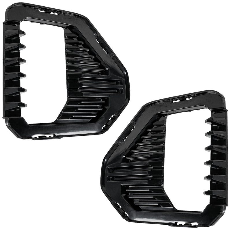 Fog Light Trim CarParts SET-RG10810005