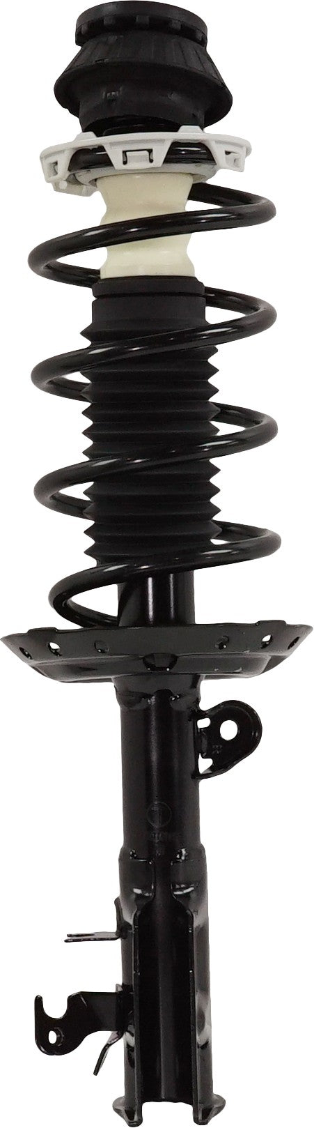 Strut Assembly Front Passenger & Driver Side