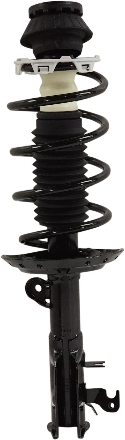 Strut Assembly Front Passenger & Driver Side
