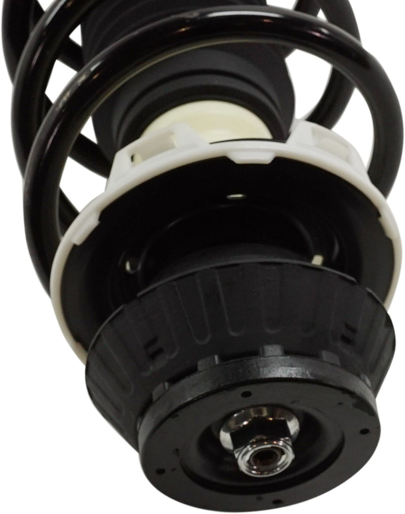 Strut Assembly Front Passenger & Driver Side