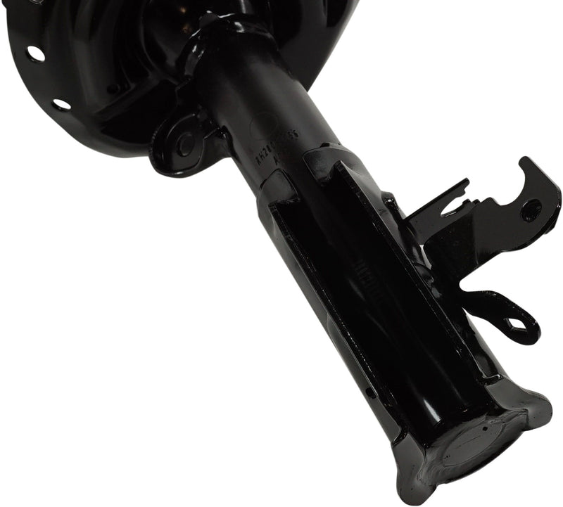 Strut Assembly Front Passenger & Driver Side