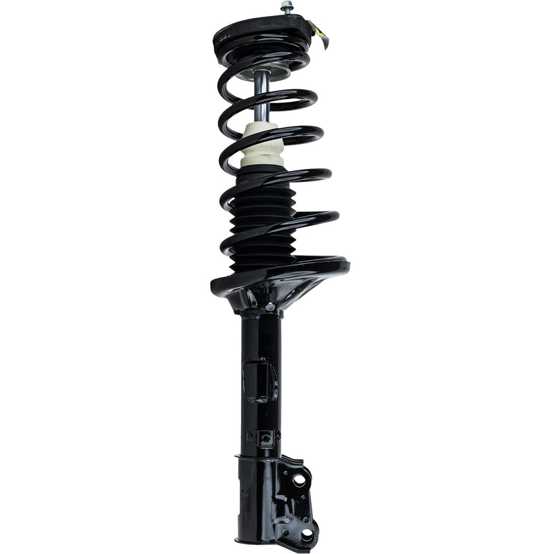 Rear Loaded Strut