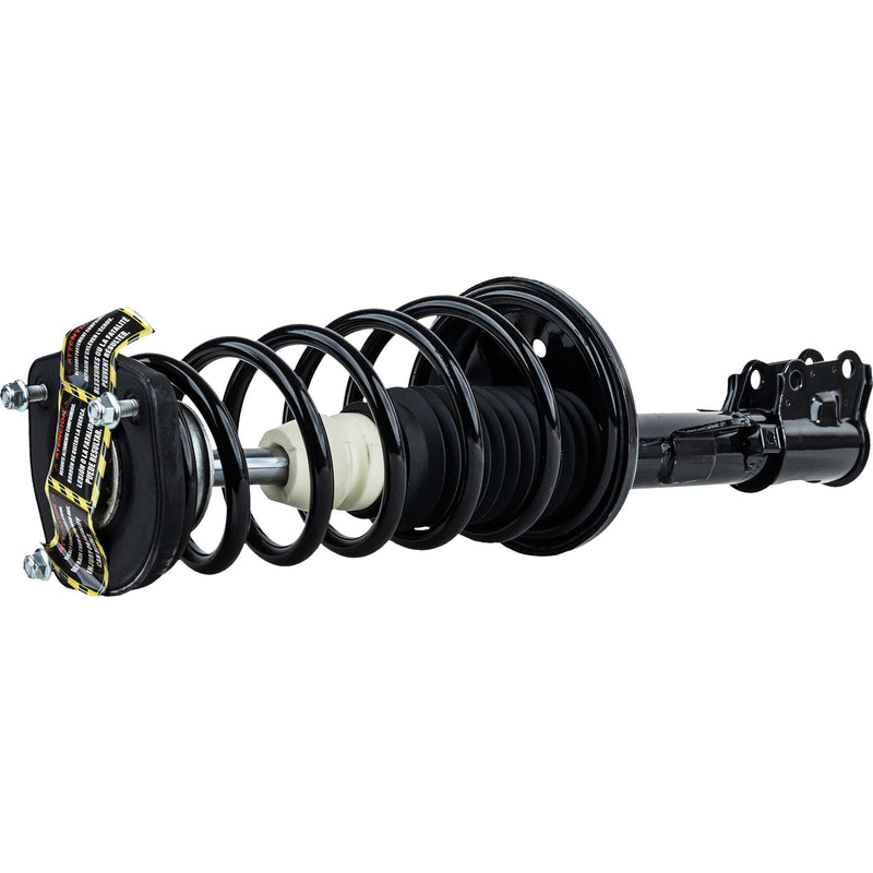 Rear Loaded Strut