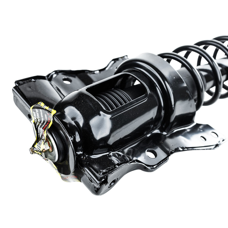 Loaded Strut - Rear Driver and Passenger Side