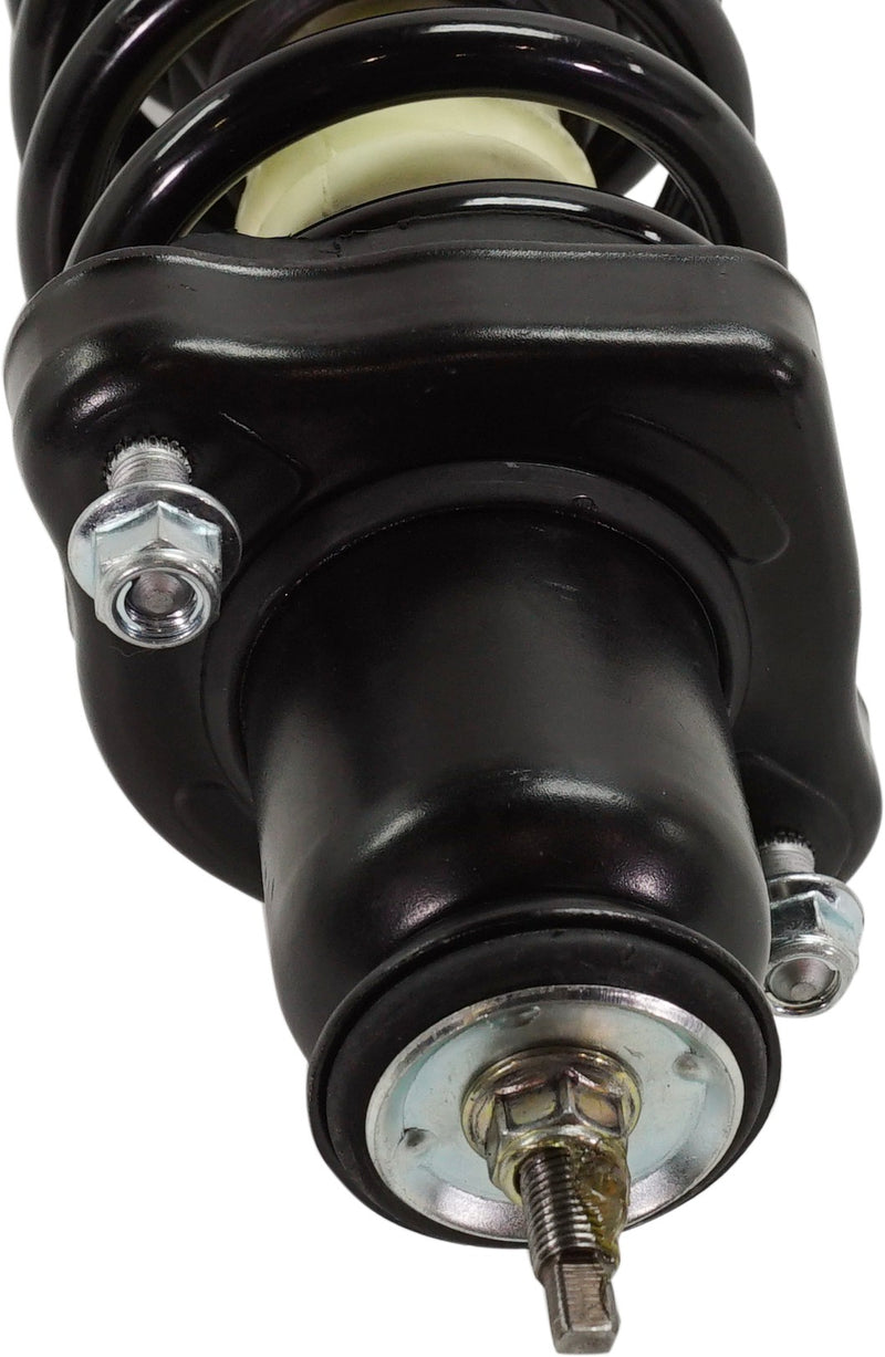 Loaded Strut - Rear Driver and Passenger Side