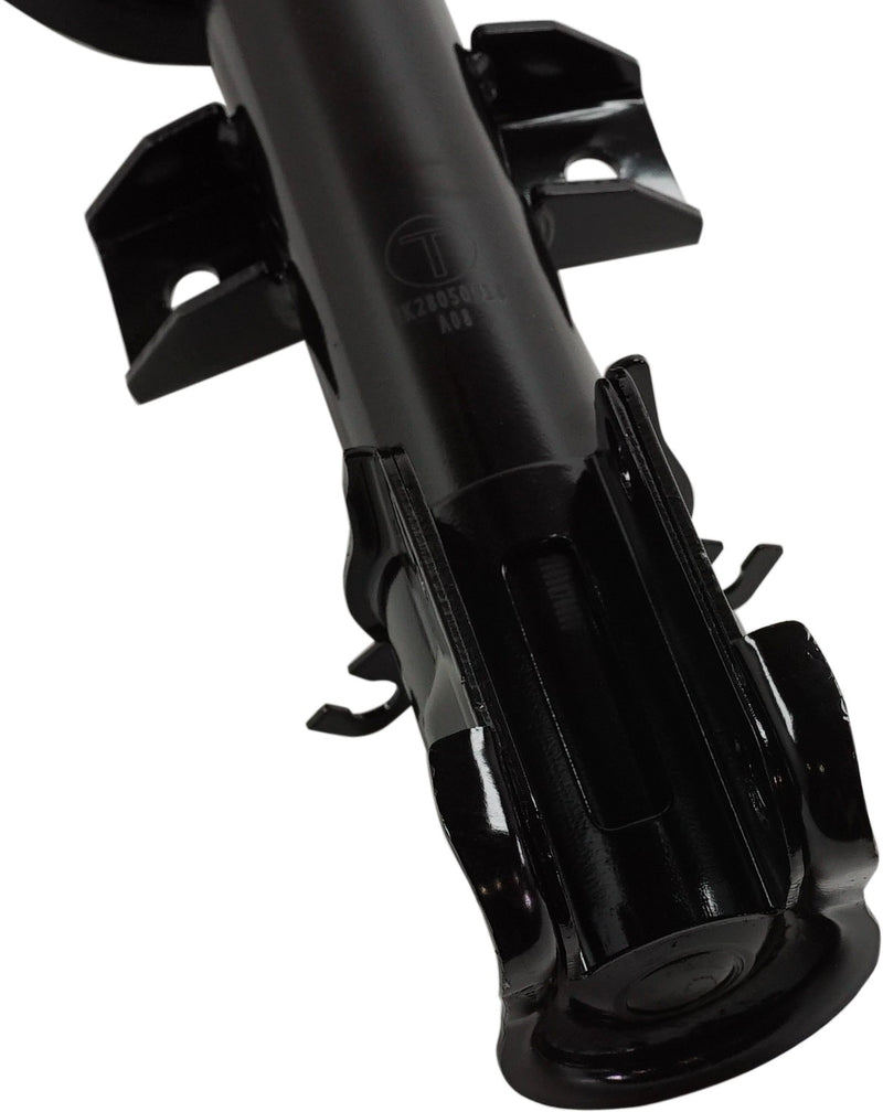 Loaded Strut - Front Driver and Passenger Side