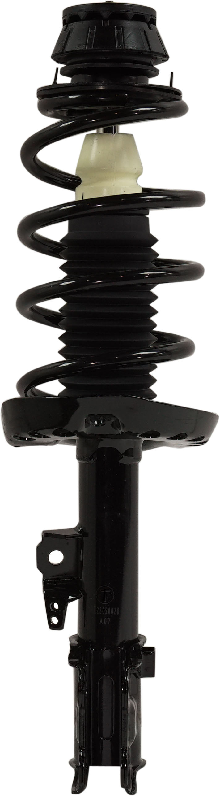 Strut Assembly Front Passenger & Driver Side