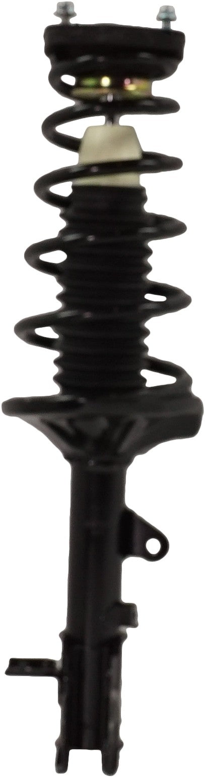 Rear Loaded Strut Passenger Side & Driver Side