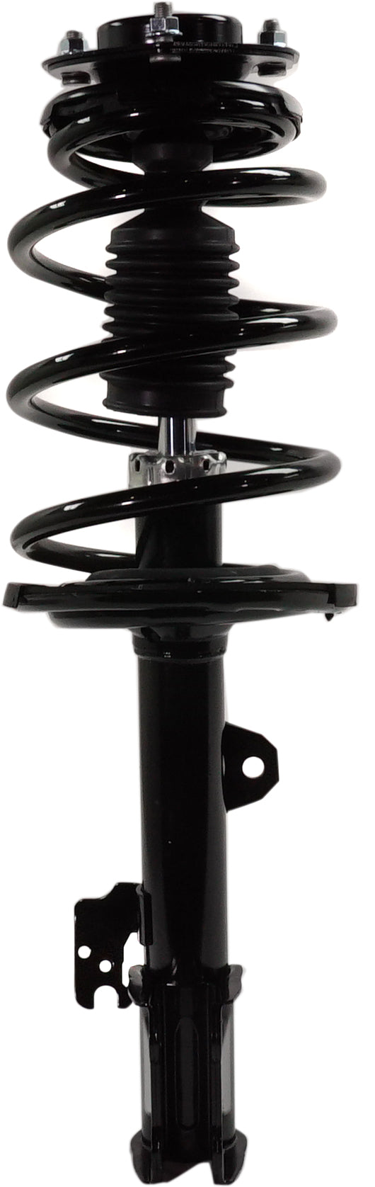 Loaded Strut - Front Driver and Passenger Side