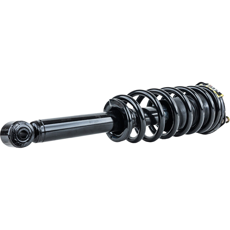 Loaded Strut-Front