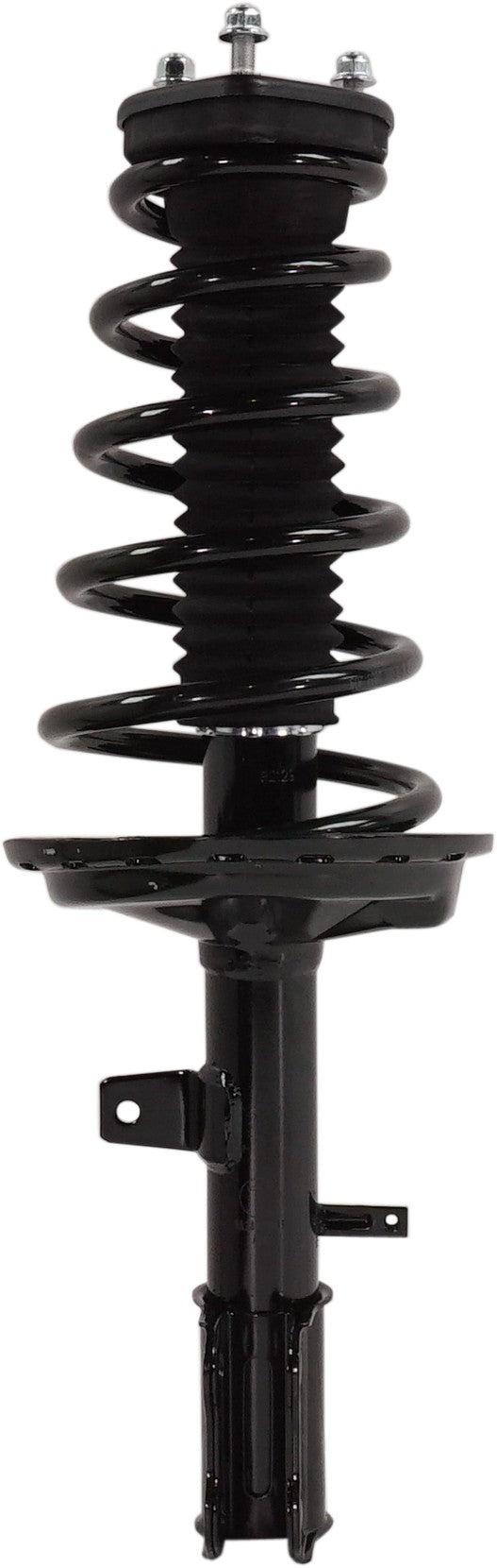 Rear Driver And Passenger Side Loaded Strut
