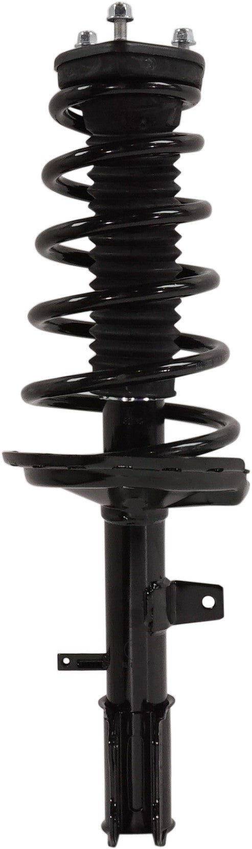Rear Driver And Passenger Side Loaded Strut
