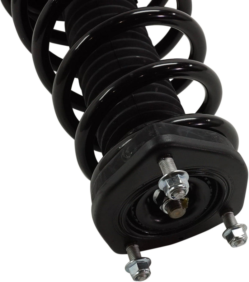 Rear Driver And Passenger Side Loaded Strut