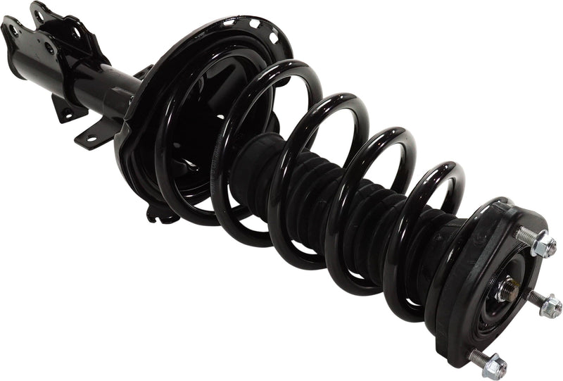 Rear Driver And Passenger Side Loaded Strut