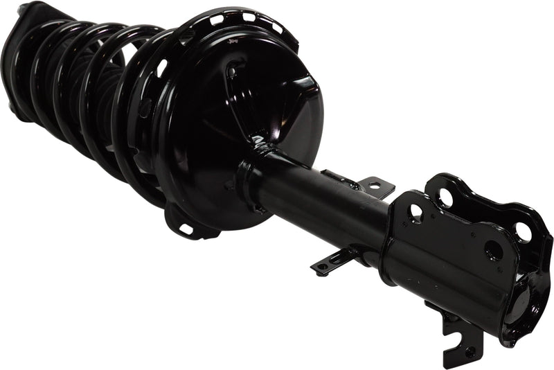 Rear Driver And Passenger Side Loaded Strut