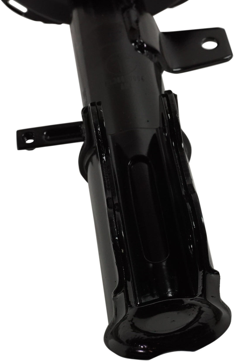 Rear Driver And Passenger Side Loaded Strut