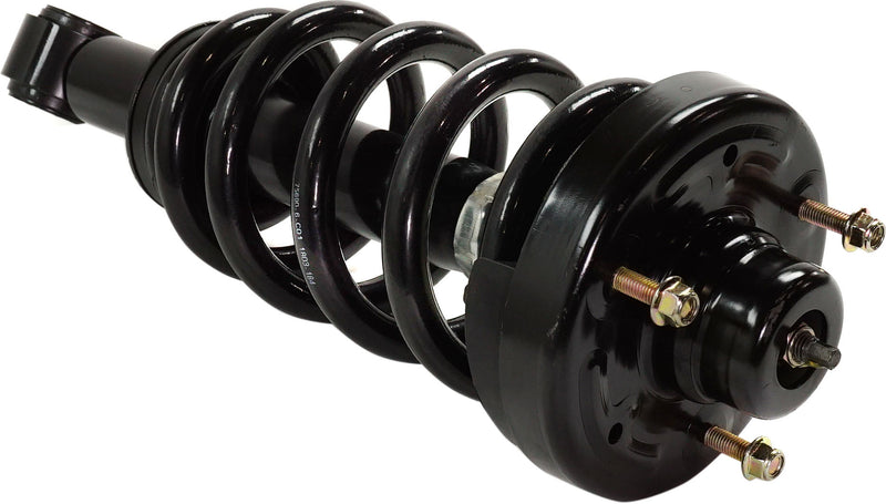 Set Of 2 - Loaded Strut - Rear Driver and Passenger Side