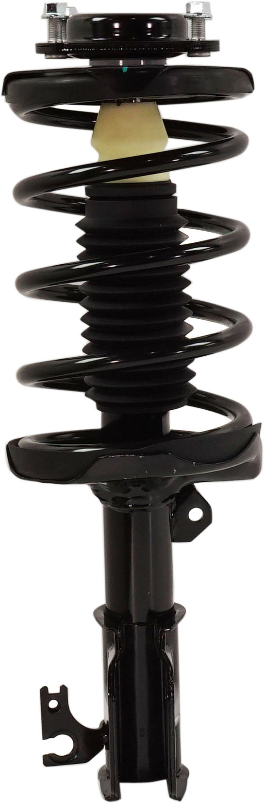 Strut Assembly Front & Rear Passenger & Driver Side