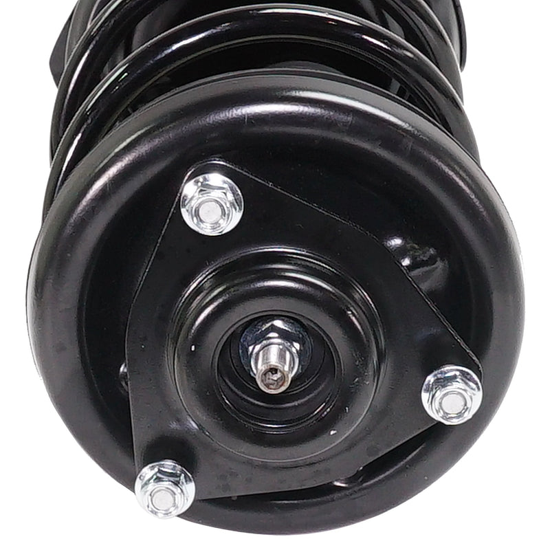 Front Fully Loaded Strut Pair