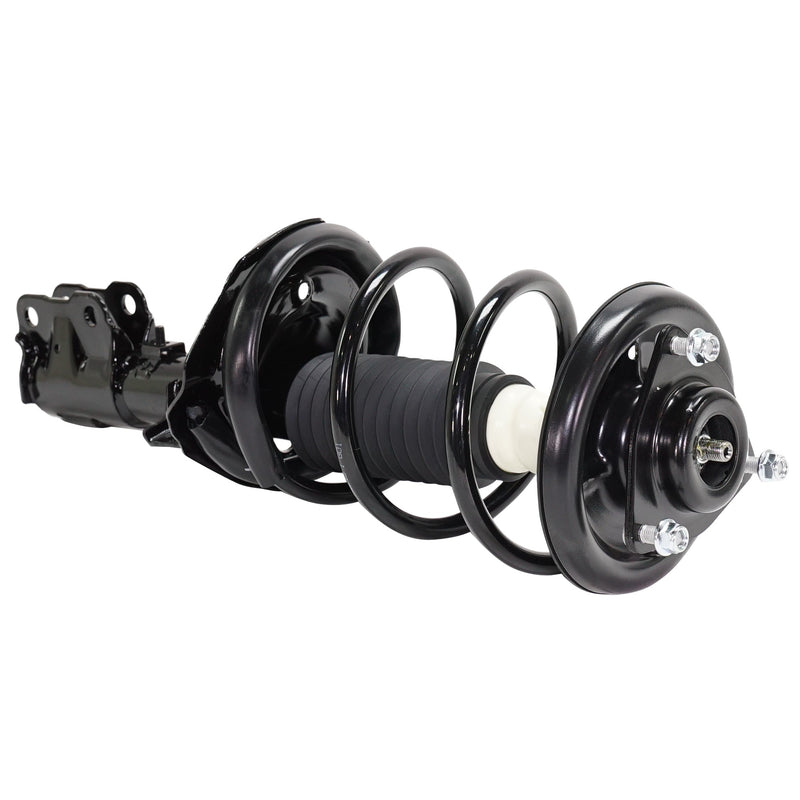 Front Fully Loaded Strut Pair