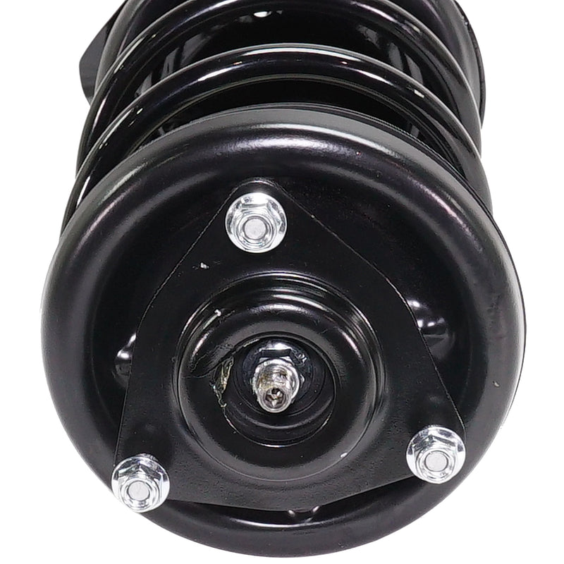 Front Fully Loaded Strut Pair