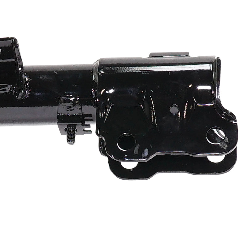 Front Fully Loaded Strut Pair
