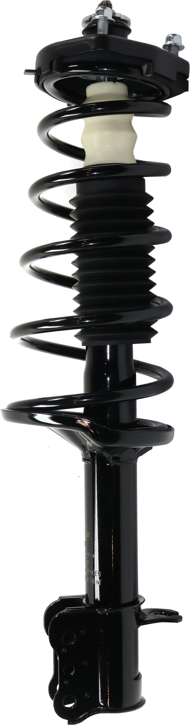 Rear Driver And Passenger Side Loaded Strut