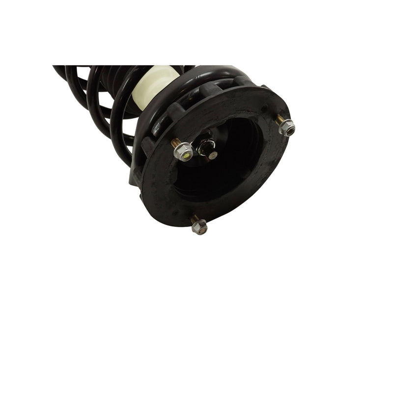 Rear Fully Loaded Strut Set Right and Left