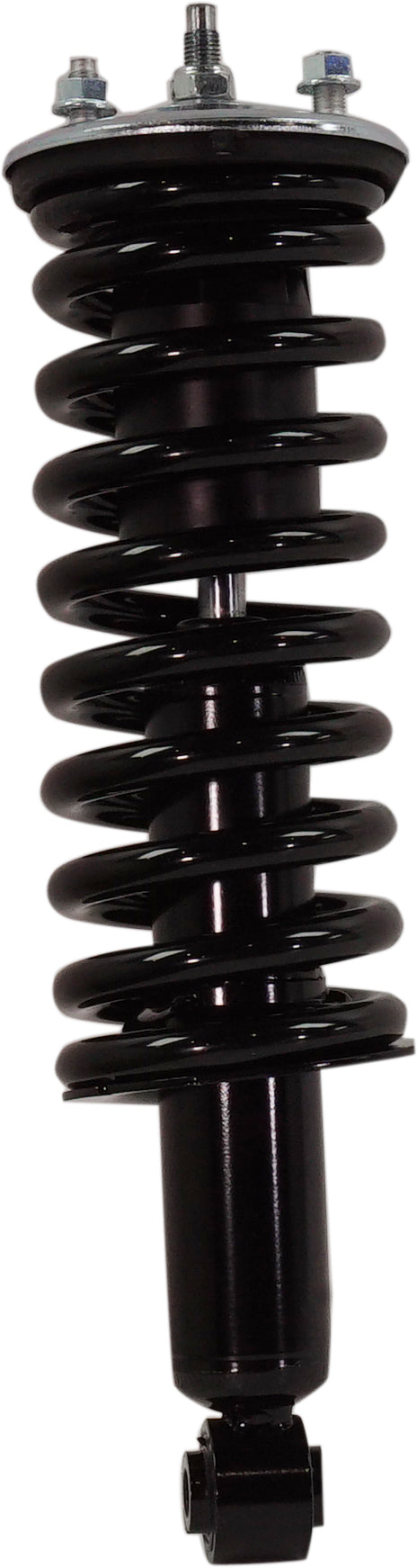 Front and Rear Shocks and Loaded Struts 2.5L Engine