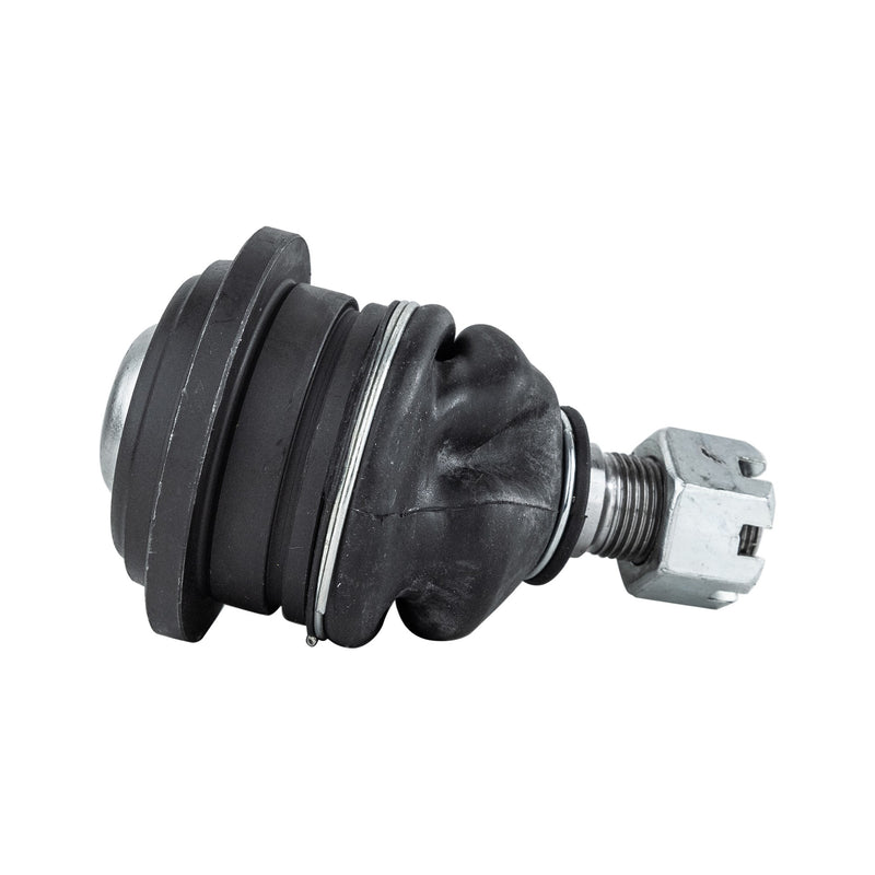 Front Driver and Passenger Side Lower Ball Joints