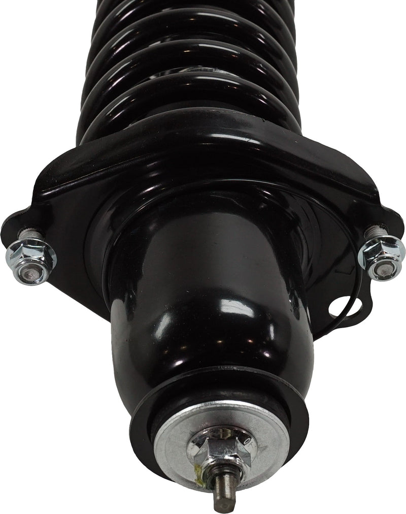 Set Of 2 - Loaded Strut - Rear Driver and Passenger Side All Wheel Drive