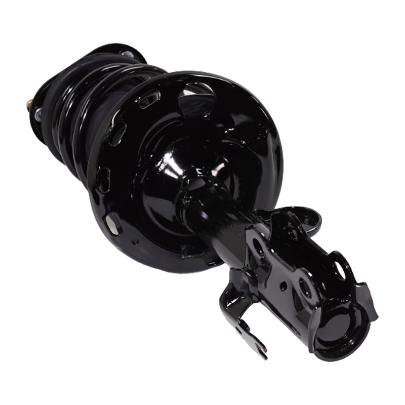 Strut Assembly Front Passenger & Driver Side