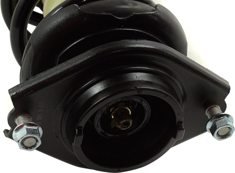 Rear Loaded Strut Passenger Side & Driver Side Set Of 2