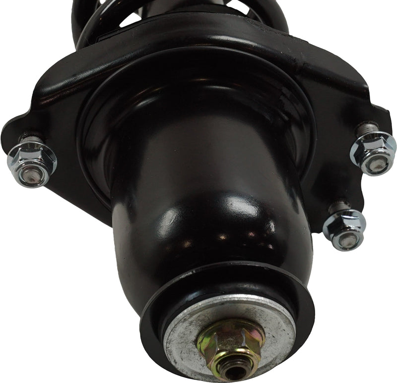 Set Of 2 - Loaded Strut - Rear Driver and Passenger Side