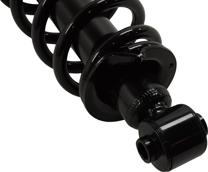 Set Of 2 - Loaded Strut - Rear Driver and Passenger Side