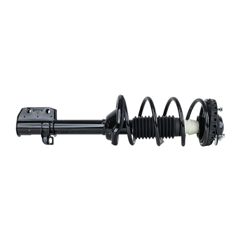 Set Of 2 - Loaded Strut - Rear Driver and Passenger Side