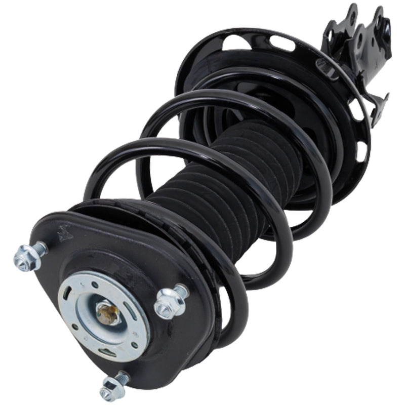 Loaded Strut-Front