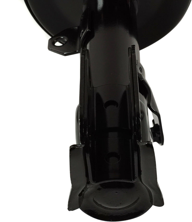Loaded Strut-Front & Rear