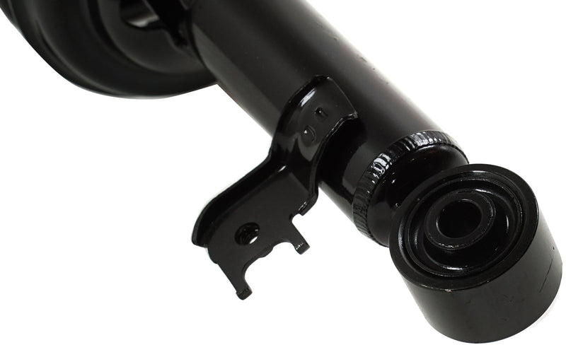 Loaded Strut-Front Driver and Passenger Side Rear Wheel Drive