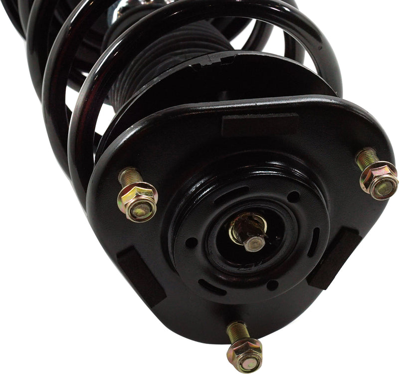 Loaded Struts-Front