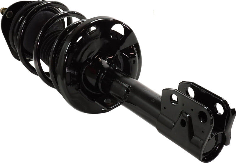 Loaded Struts-Front